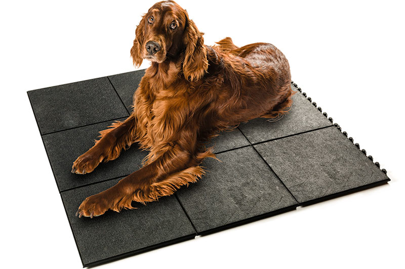 Gymmatta som är slittålig för gym. Kan även användas som Kennelmatta till hundar.